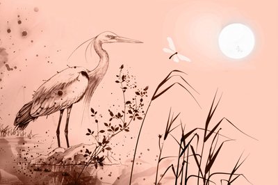 Disegno a inchiostro di un airone in piedi sulle rocce vicino all
