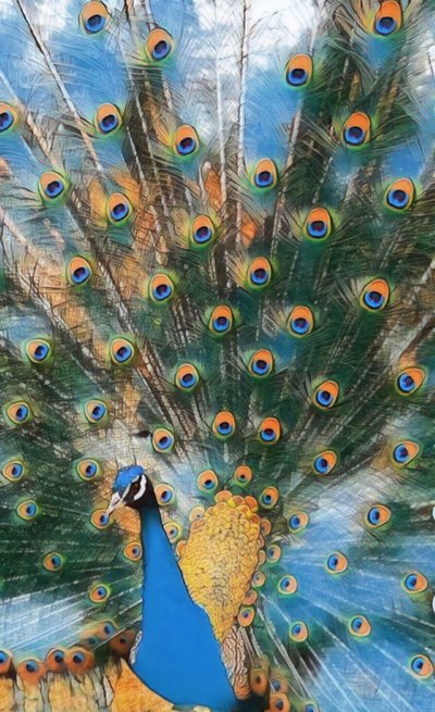 Pavo Real. da Margareta Uliarte