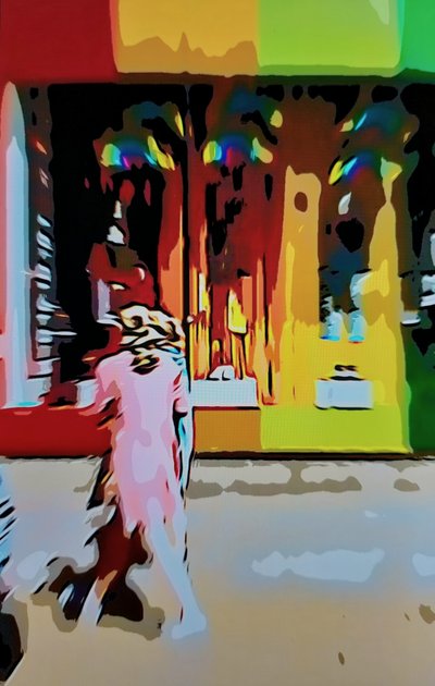 Multicolore urbano da Mavet