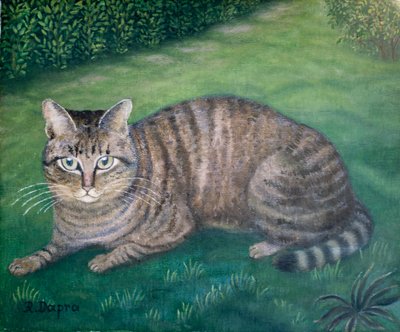 Il gatto Julia da Regine Dapra