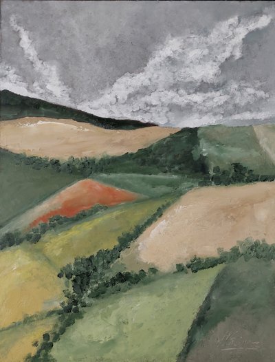 Siepi tra campi da M. Vet