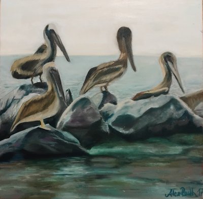 Uccelli da Alex Terla