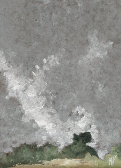 Siepe e nuvole da M. Vet