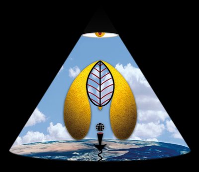 Im Anfang war das Wort (aus der Serie Lichtung) da Alexander Eibach