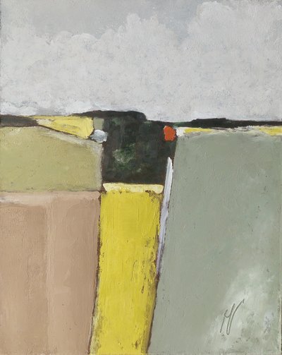 Campi a schema regolare da M. Vet