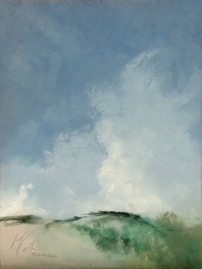 Luogo paludoso da M. Vet