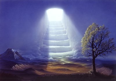  da Hans-Werner Sahm