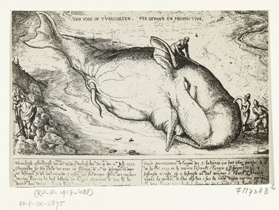 Stampa della balena arenata ad Anversa, 2 luglio 1577 da A.B. van Deinse
