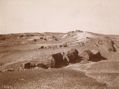 Nella Foresta Pietrificata (Vista Generale, Parco Centrale) da A.C. Vroman