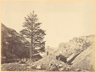 Albero delle mille miglia, Passo di Wilhemina da A.J. Russell