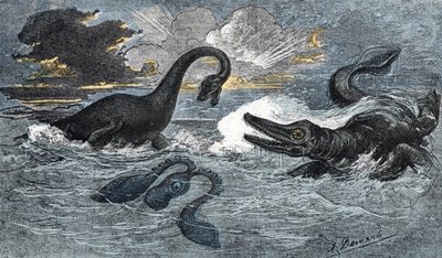 Plesiosauro e ittiosauro del periodo Giurassico inferiore da A. Demarle