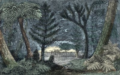 Preistoria: paesaggio caratteristico con palude e foresta da A. Demarle
