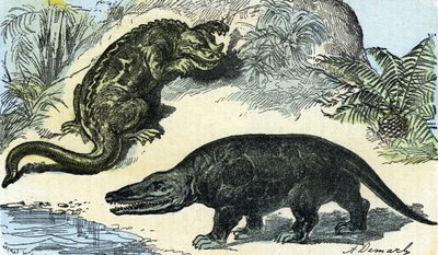 Preistoria: rappresentazione di un iguanodonte e megalosauro del periodo Cretaceo da A. Demarle