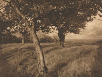 Oltre da A. Horsley Hinton