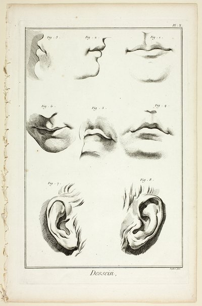 Design: Anatomia del viso dall