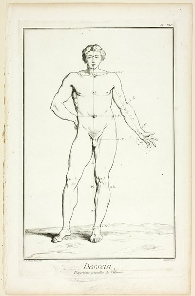 Disegno: Proporzioni generali dell