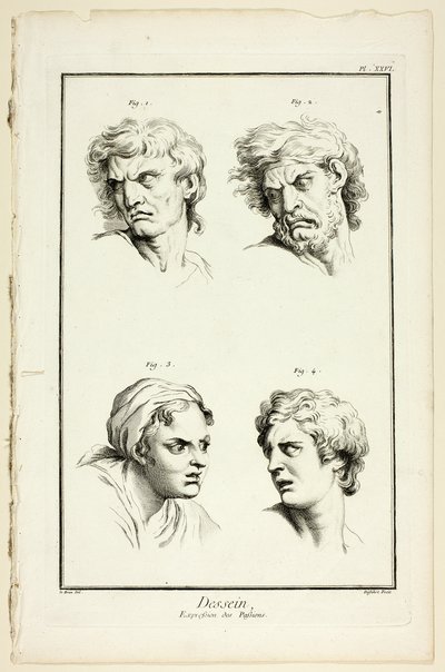 Disegno: Espressioni di emozione (Odio o gelosia, Rabbia, Desiderio, Dolore fisico), da Encyclopédie da A. J. Defehrt