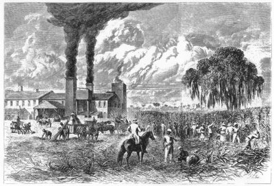 Piantagione di zucchero, New Orleans, 1870 da A. R. Ward