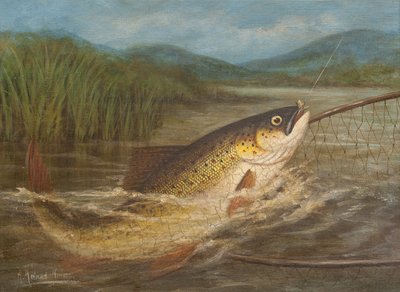 La rete del pescatore a mosca da A. Roland Knight