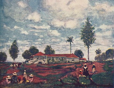 Una fazenda di caffè, 1916 da A. S. Forrest