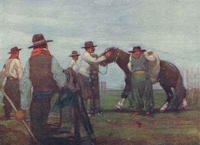 Gauchos che domano un giovane cavallo, 1916 da A. S. Forrest