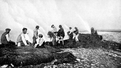 Bruciatura di alghe per il kelp, Isole Aran, Irlanda, 1922 da A. W. Cutler