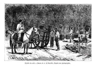 Raccolta del caffè, Brasile da A. de Neuville