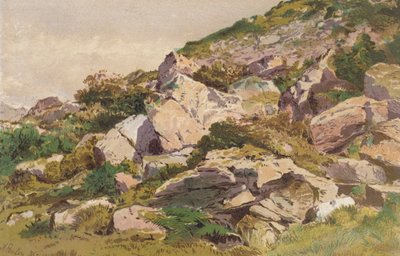 Studio di pietre sul lato nord di Taliaris, vicino a Llandilo, Galles del Sud (cromolitografia) da Aaron Edwin Penley