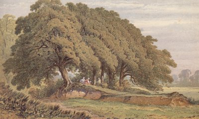 Studio di un gruppo di querce, vicino a Eltham, Kent da Aaron Edwin Penley