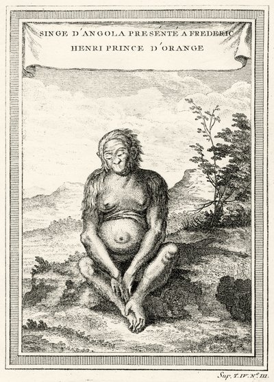 Illustrazione dell