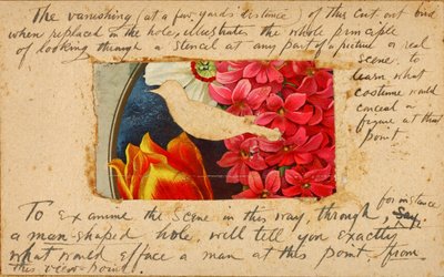 Stencil per uccelli, cartella di studio per il libro "Nascondere la colorazione nel regno animale". da Abbott Handerson Thayer