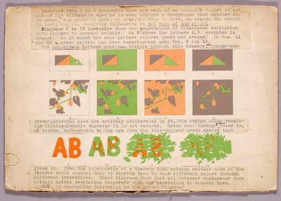 Diagramm und Kupferkopfschlange, Studienmappe für das Buch Concealing Coloration in the Animal Kingdom da Abbott Handerson Thayer