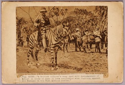 Cavallo e incrociatore mimetizzati, cartella di studio per il libro La colorazione occultabile nel regno animale da Abbott Handerson Thayer