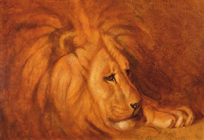 Leone a riposo da Abbott Handerson Thayer