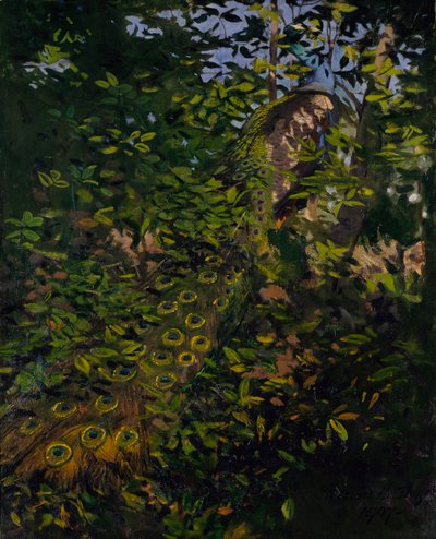 Pavone nel bosco, studio per il libro Concealing Coloration in the Animal Kingdom da Abbott Handerson Thayer