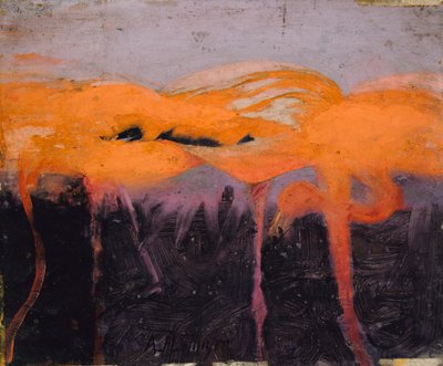 Fenicotteri rossi, studio per il libro "Nascondere la colorazione nel regno animale". da Abbott Handerson Thayer