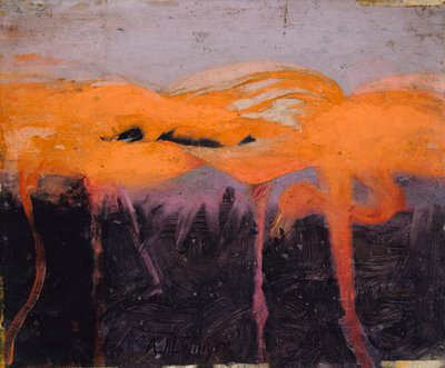 Fenicotteri rossi, studio per il libro Concealing Coloration in the Animal Kingdom da Abbott Handerson Thayer