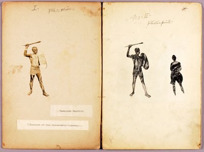 Tatuaggio - Guerriero singolo, cartella di studio per il libro Nascondere la colorazione nel regno animale da Abbott Handerson Thayer