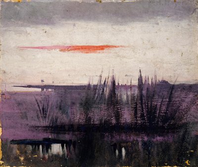 Il Cielo Simulato da Fenicotteri Bianchi studio per libro..., nel Regno Animale da Abbott Handerson Thayer