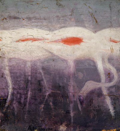 Fenicotteri bianchi, studio per il libro Concealing Coloration in the Animal Kingdom da Abbott Handerson Thayer