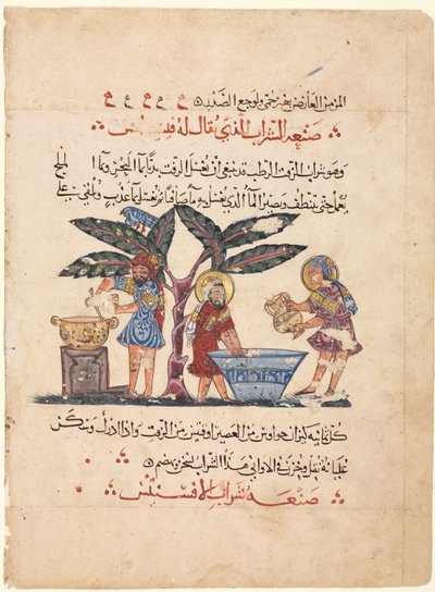 Foglio da una traduzione araba della Materia Medica di Dioscoride da Abdallah ibn al Fadl (Iraq)