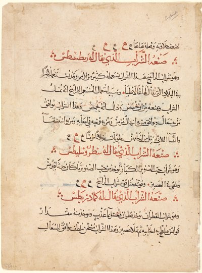 Pagina di testo da una Materia Medica di Dioscoride da Abdallah ibn al Fadl (Iraq)