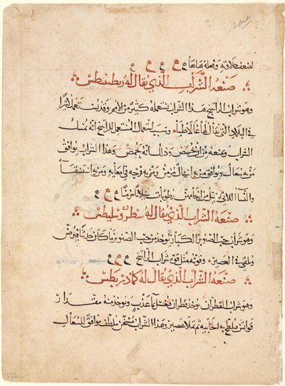 Pagina di testo da una Materia Medica di Dioscoride, c. 1224 da Abdallah ibn al Fadl