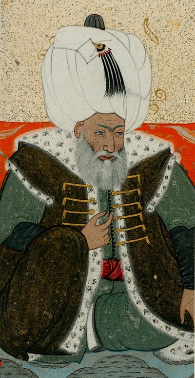 Bayezid II, Sultano dell