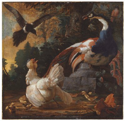 Un pavone, pollame e una gazza in un paesaggio, 1720 da Abraham Bisschop