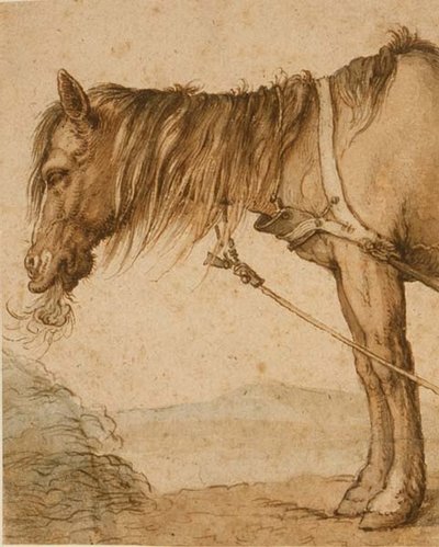 Un cavallo che mangia fieno, c.1600-10 da Abraham Bloemaert
