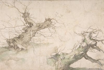 Studi di due salici capitozzati, Verso: Ampia prospettiva paesaggistica, fine XVI-metà XVII secolo da Abraham Bloemaert