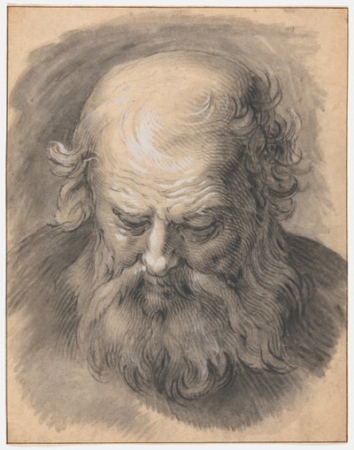 Studio della testa di un uomo barbuto da Abraham Bloemaert