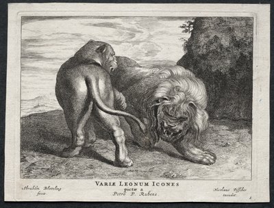 Vari leoni da Abraham Blooteling