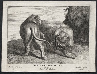 Vari leoni da Abraham Blooteling